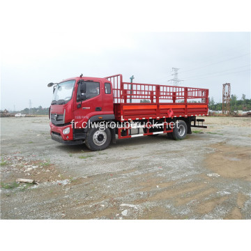 LHD 5 tonnes camion de fret à vérin hydraulique